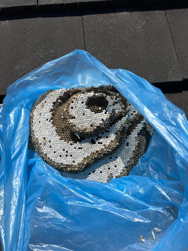 WhatsApp Image 2025-01-08 at 16.02.51_3e4a9731