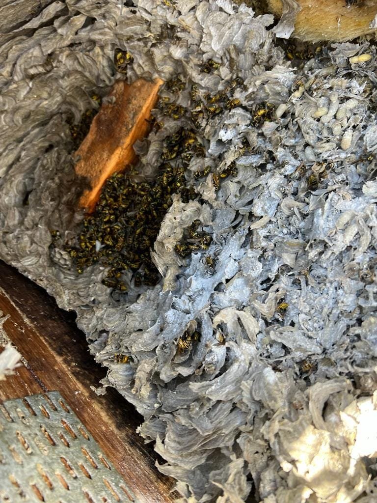 WhatsApp Image 2025-01-08 at 16.02.51_91044fe6