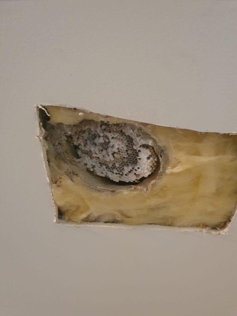 WhatsApp Image 2025-01-08 at 16.02.52_273801cd