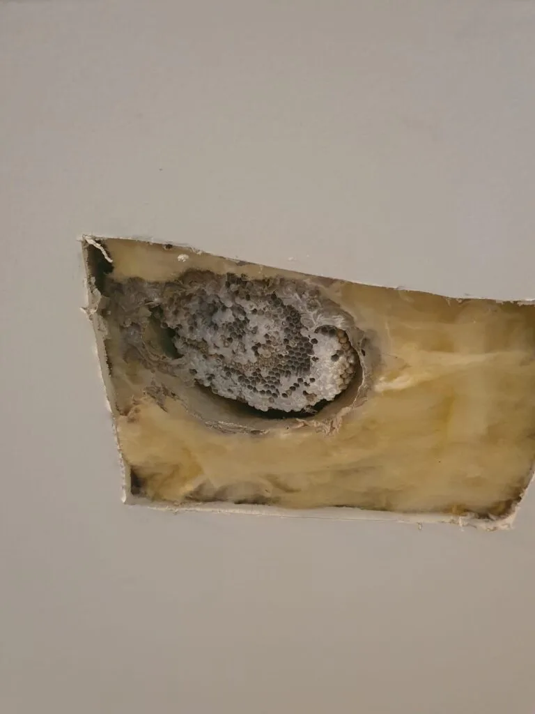 WhatsApp Image 2025-01-08 at 16.02.52_273801cd